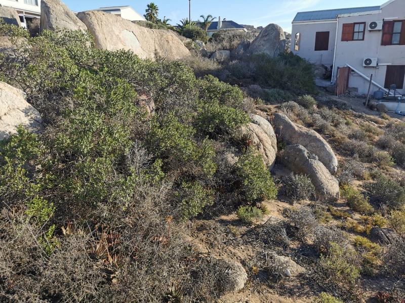 0 Bedroom Property for Sale in Blueberry Hill Western Cape